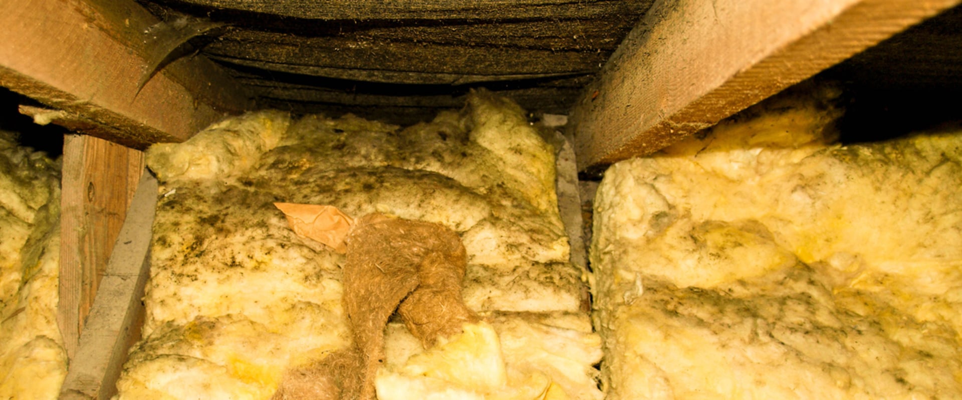 Signs of Poor Attic Insulation in Boca Raton, FL