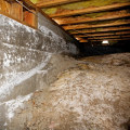 Is Your Attic Insulation Causing Mold or Mildew Growth in Boca Raton, FL?