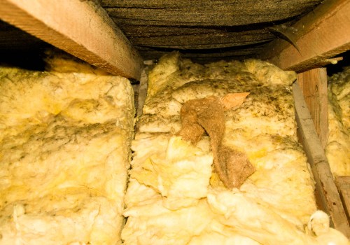 Signs Your Attic Insulation May Be Causing Health Issues in Boca Raton, FL